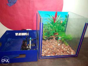 Fish tank with accessories in very good condition