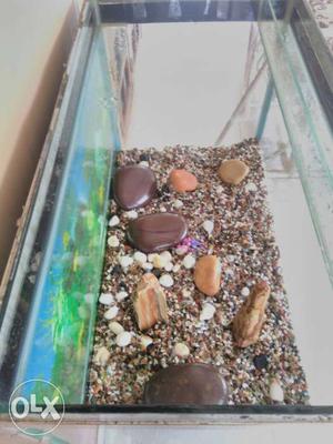 Fish tank with stones