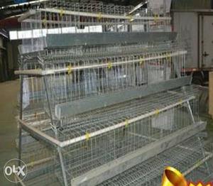 Hen layer cage for 32 birds