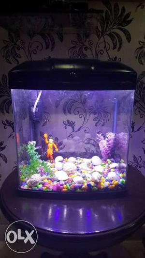 Home Aquarium 25 Litres Brand New Condition (Table Not