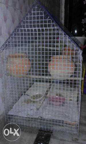 I can sale my Indian 4 handi cage very excellent