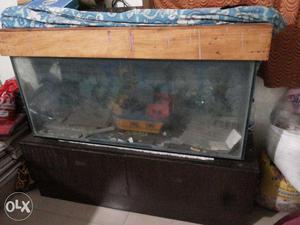 Large Fish Tank