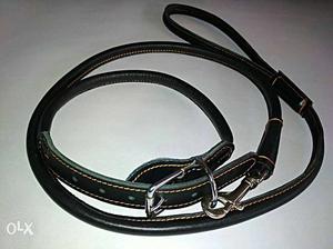 Leather Dog collar and leash set