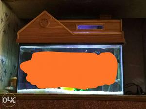 New aquarium tank with wooden top with all