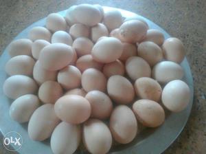 Organic Nattu koli muttai country chicken eggs rs10
