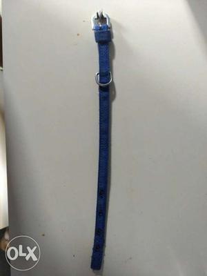 Puppy Belt Stylish Blue color upto 4 months