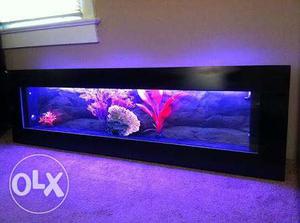 Rectangular Black Framed Pet Tank With UV Light