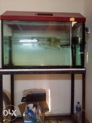 Selling fish tank with rack and top acrylic cover