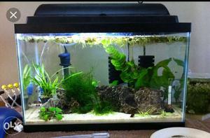 Want sell brand new 2ft aquarium low renge all