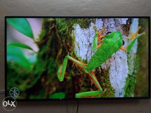 Low Consumption 50" Android Samsung Panel Brand New Led Tv