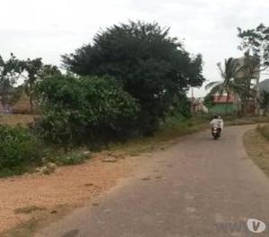 10 CENT LAND FOR SALE AT MEENADOM-PAMPADY ROAD SIDE