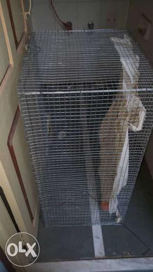 3 feet by 1.5 feet cage for sale