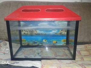 Aquarium...y