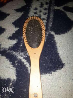 Dog hair brush and dog nail cutter