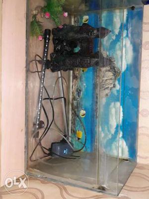 Fish tank set with LED light and oxygen pump and