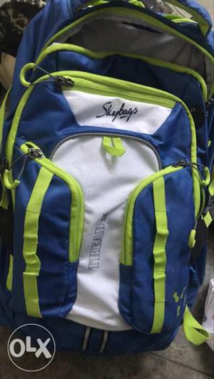 Gray, Green, And Blue Skybags Backpack