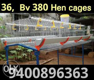 Gray Steel Hen Cage