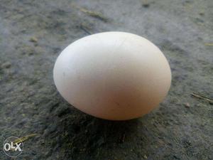 Naatu Eggs (250rs/10Eggs) *High Proteins Food,