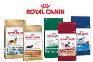 Royal canin food for your pets in wholesale price