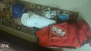 Cricket kit,with protos bag,sm pads, gloves and