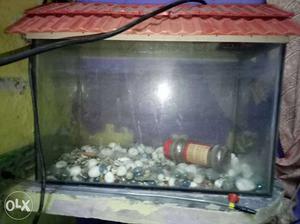 1:30ft Fish tank With Fish tank Cover And