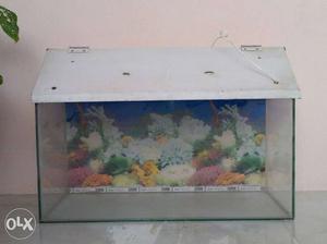 A fish tank with light and bubble machine in good