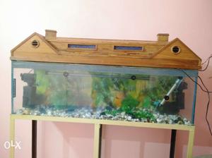 An aquarium of 4×2.5 feet contain all