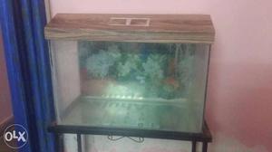 Aquarium!! Fish tank and stand. Price Negotiable