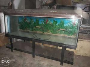 Aquarium with metal stand and stone & filter.