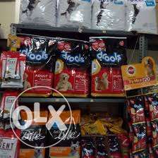Dog foods/boarding training nd all items