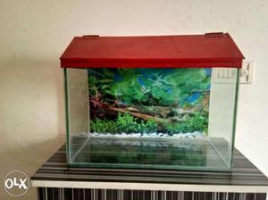 Fish tank for sale