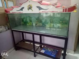 Good condition aquarium with heavy gauge stand Tank size 5ft