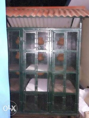 New birds cage for sale