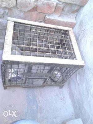 《bird cage》 4 month useing fix Rs 500