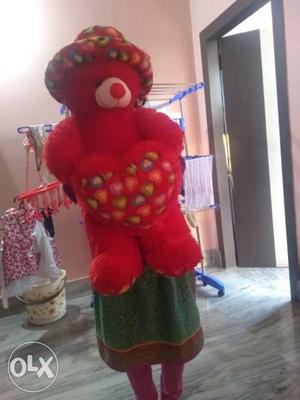 This is a new red teddy bear with cover.. This