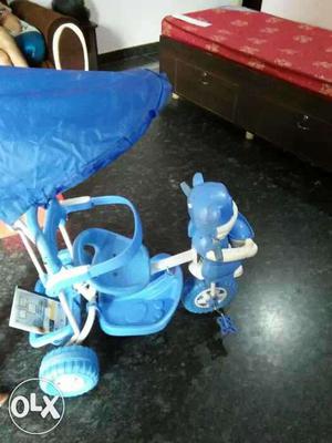 Toddler's Blue And White Push Trike