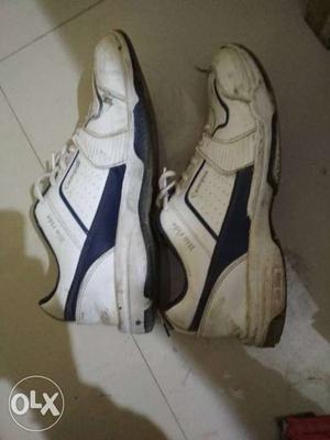 White-and-blue Low-top Campus sports Shoes-9 no.