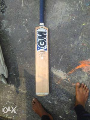 Beige And Blue GM Cricket Bat