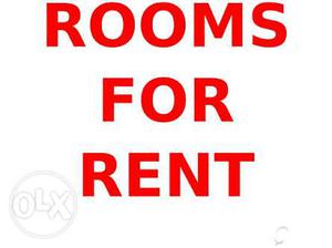 Rooms For Rent only bachelor