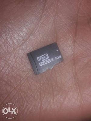4 GB Micro-SD Card