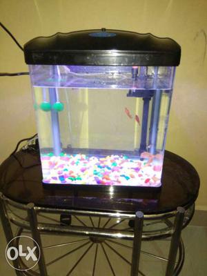 Fish tank withbpowerfilter, and multy light with