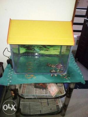 1.5 feet Fish Tank with cap