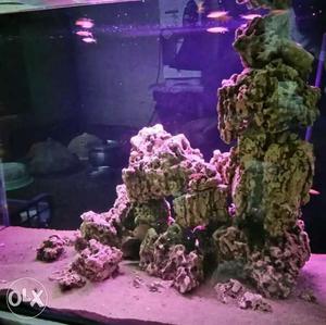 100rkg natural fish aquarium rock