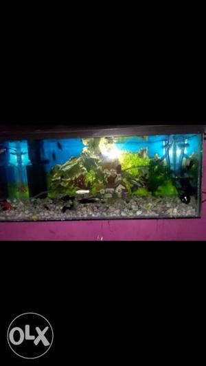 2×1 Aquarium with all accessories and