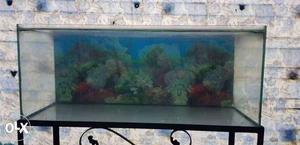 3ft aquarium with top stand stones