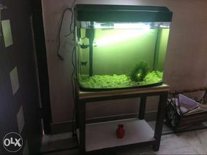 4 month old aquarium with entire fitting