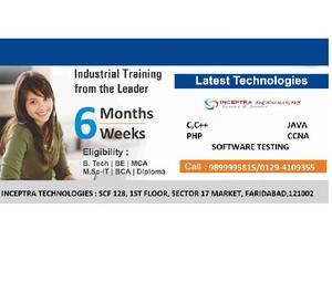 6 WeeksMonths training from Industrial Experts