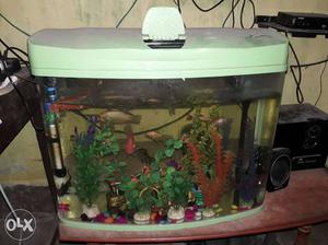 Aquarium Tank With One Water Heater One Filter