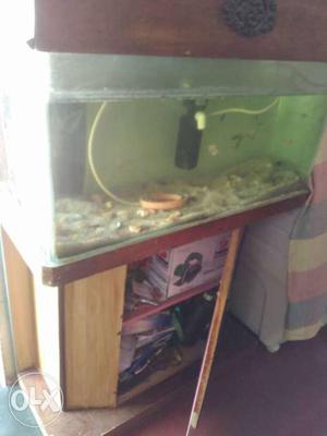 Aquarium for sale h 3 feet by 1feet with all