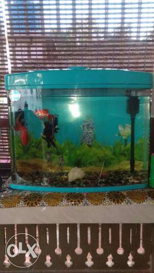 Aquarium set new one,chainna set